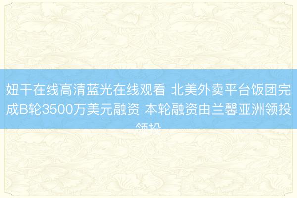 妞干在线高清蓝光在线观看 北美外卖平台饭团完成B轮3500万美元融资 本轮融资由兰馨亚洲领投