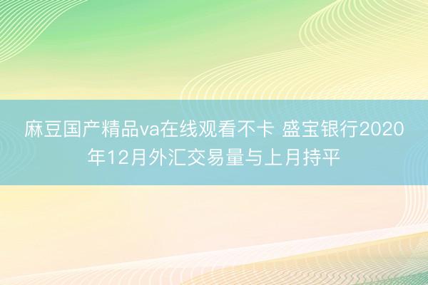 麻豆国产精品va在线观看不卡 盛宝银行2020年12月外汇交易量与上月持平