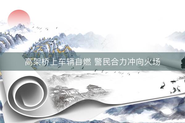 高架桥上车辆自燃 警民合力冲向火场