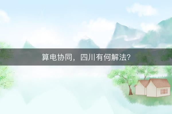 算电协同，四川有何解法？