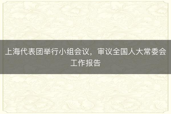 上海代表团举行小组会议，审议全国人大常委会工作报告