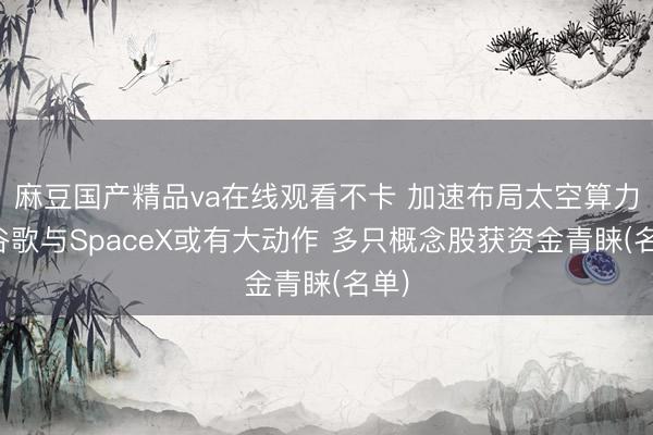 麻豆国产精品va在线观看不卡 加速布局太空算力！谷歌与SpaceX或有大动作 多只概念股获资金青睐(名单)