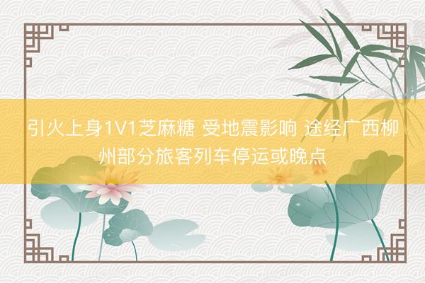 引火上身1V1芝麻糖 受地震影响 途经广西柳州部分旅客列车停运或晚点