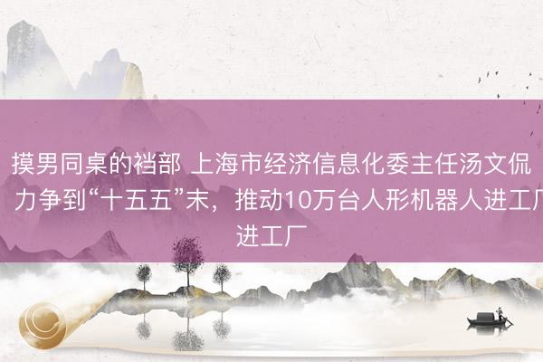 摸男同桌的裆部 上海市经济信息化委主任汤文侃：力争到“十五五”末，推动10万台人形机器人进工厂