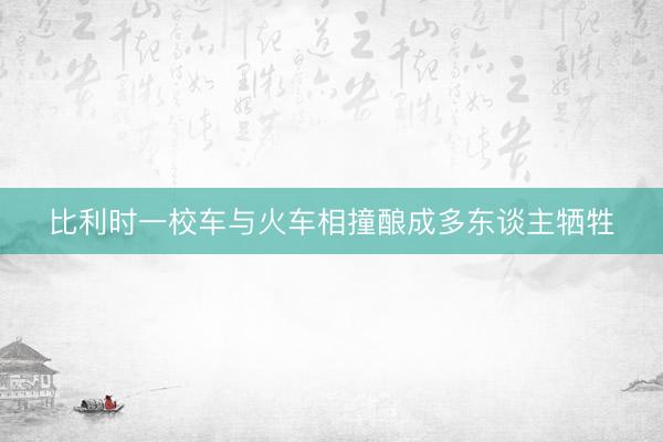 比利时一校车与火车相撞酿成多东谈主牺牲