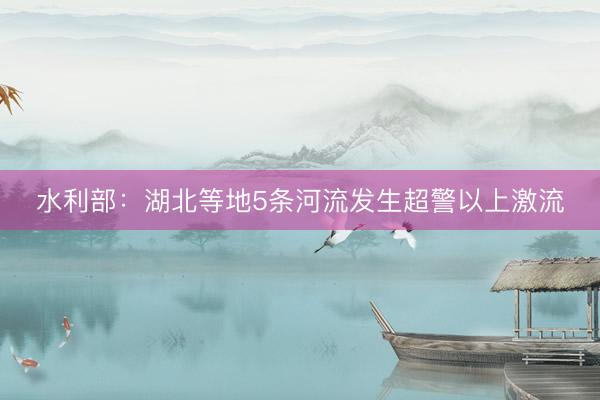 水利部：湖北等地5条河流发生超警以上激流