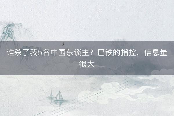 谁杀了我5名中国东谈主？巴铁的指控，信息量很大