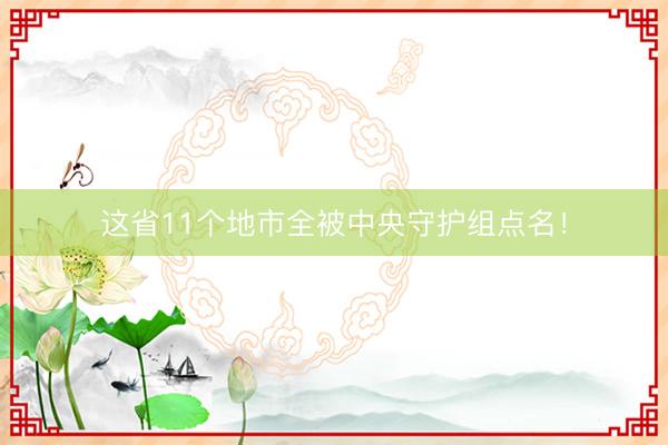 这省11个地市全被中央守护组点名！