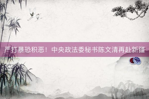 严打暴恐积恶！中央政法委秘书陈文清再赴新疆