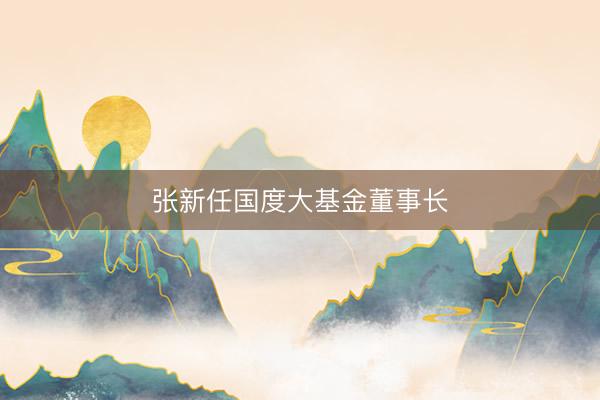 张新任国度大基金董事长