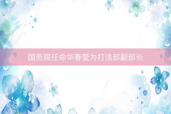 国务院任命华春莹为打法部副部长