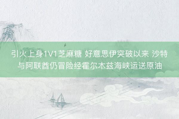 引火上身1V1芝麻糖 好意思伊突破以来 沙特与阿联酋仍冒险经霍尔木兹海峡运送原油