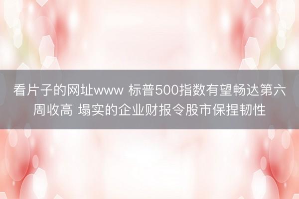 看片子的网址www 标普500指数有望畅达第六周收高 塌实的企业财报令股市保捏韧性