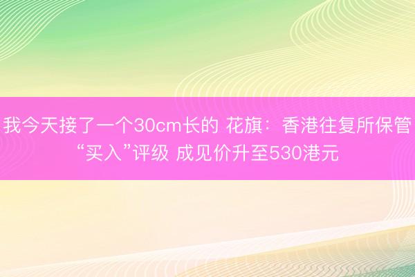 我今天接了一个30cm长的 花旗：香港往复所保管“买入”评级 成见价升至530港元