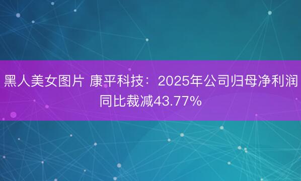 黑人美女图片 康平科技：2025年公司归母净利润同比裁减43.77%