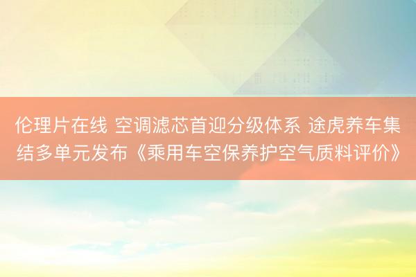伦理片在线 空调滤芯首迎分级体系 途虎养车集结多单元发布《乘用车空保养护空气质料评价》