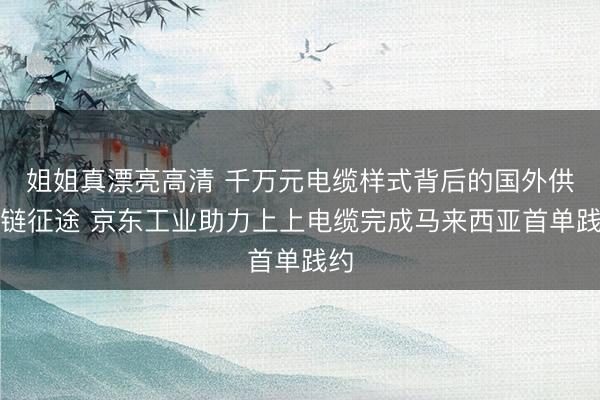 姐姐真漂亮高清 千万元电缆样式背后的国外供应链征途 京东工业助力上上电缆完成马来西亚首单践约