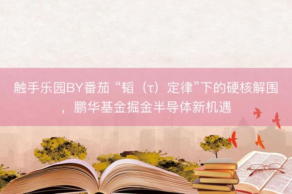 触手乐园BY番茄 “韬（τ）定律”下的硬核解围，鹏华基金掘金半导体新机遇