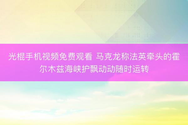 光棍手机视频免费观看 马克龙称法英牵头的霍尔木兹海峡护飘动动随时运转