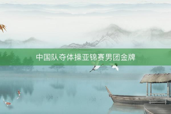 中国队夺体操亚锦赛男团金牌