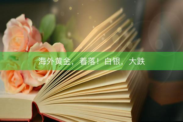 海外黄金，着落！白银，大跌